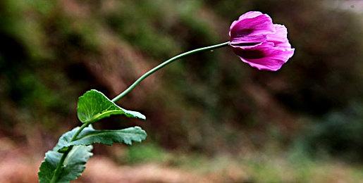 《暗黑破坏神4》设计师不希望玩家在游戏里过于强大